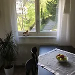Gisi 인스브루크