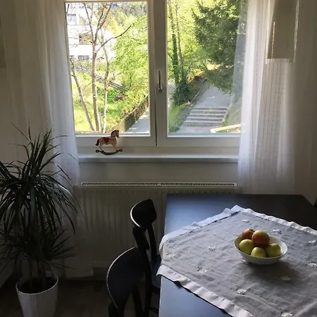 Gisi Інсбрук