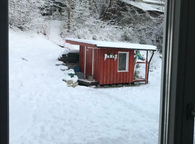 Gisi אינסברוק